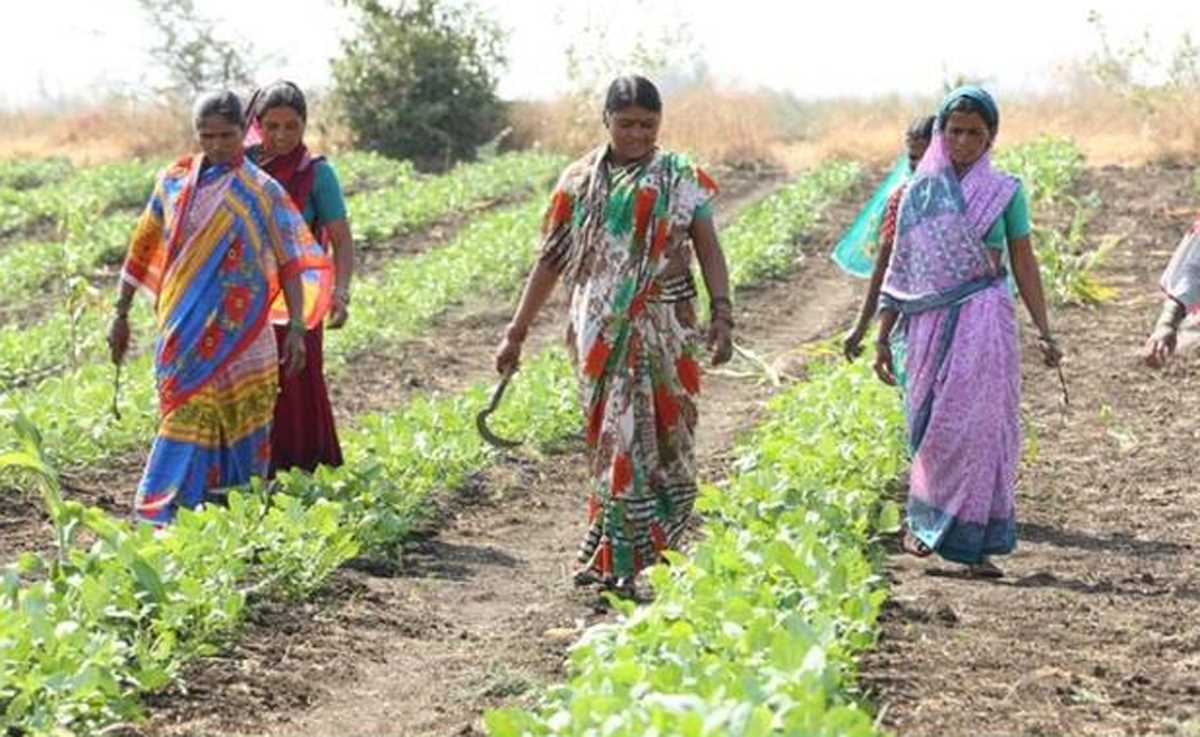 भारत सरकार की आत्मा योजना से महिला किसानों को मिल रहा खेती-बाड़ी के लिए प्रशिक्षण